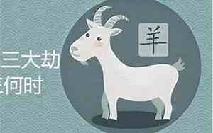1991属羊是什么命金木水火土
