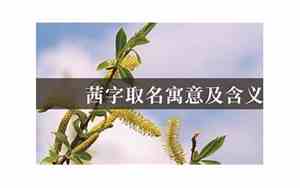 茜字取名寓意好吗女孩