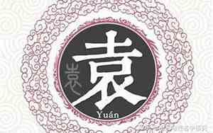 袁姓宝宝取名字大全免费