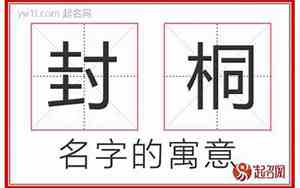 以桐取名的寓意和含义女孩