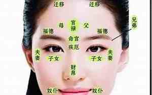 面相看学业准吗女生