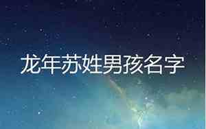 苏姓男孩取名字大全高冷 新闻