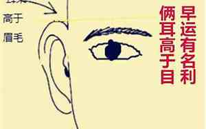 耳朵高低怎么判断