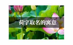 荷字取名的寓意