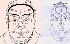 面面相什么四字词语代表看的