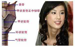 喉结大女人怎么回事