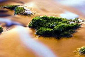深圳龙脉风水宝地在哪里(深圳龙脉风水宝地)