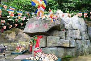狐仙洞是求什么呢 狐仙洞景区