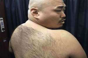 豪毛是词语吗(豪毛)