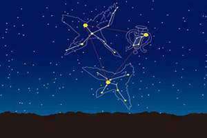 星座研究十二星座(星座研究)