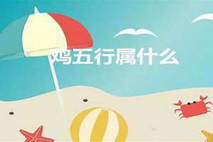 龙五行属什么行 龙五行属什么,寓意是什么意思