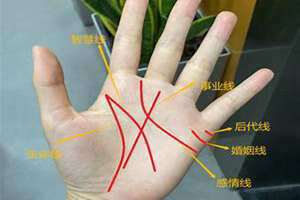 手相女人看左手还是右手 手相女分析图