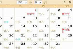 1991是什么年天干地支 1991是什么年农历