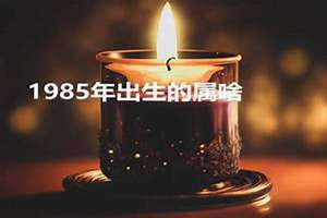 1985年属啥