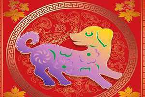 属猪的幸运色是什么颜色2024(属猪的幸运色)