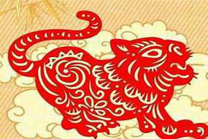 属虎人今年运气和财运(属虎人今年运气)