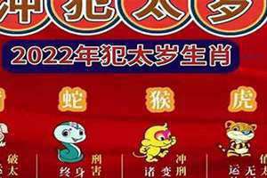 冲太岁属狗的怎么化解2024年(冲太岁)