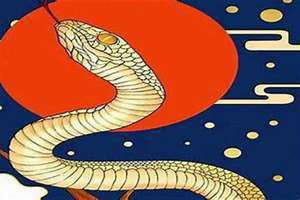 属蛇的是什么星座啊(属蛇的是什么星座)