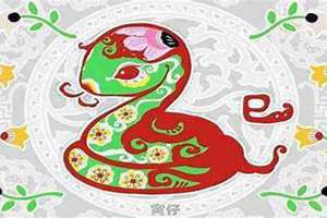 属相蛇和什么属相配(属相蛇)
