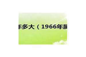 1966年属什么今年多大2024(1966年属什么今年多大)