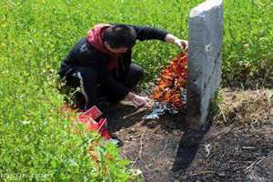 梦见上坟烧钱什么意思(梦见上坟)
