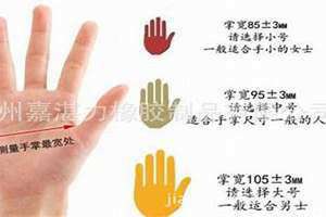手掌长度一般多少厘米 手掌长度和身高比例