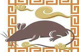 属鼠性格优点和缺点(属鼠性格)
