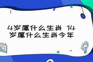 2024年14岁属什么 孩子14岁属什么