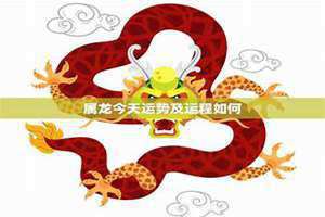 属龙今天运势及财运(属龙今天运势)