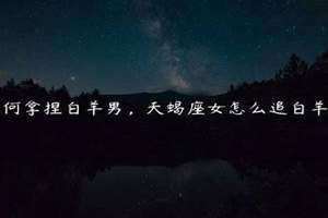 怎么追白羊男