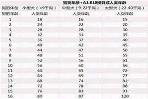 属狗今年几岁2024(属狗今年几岁)
