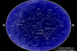 6月星座是什么星座(6月星座)