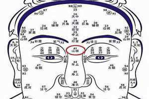 女人的五官面相看财运(面相看财运)