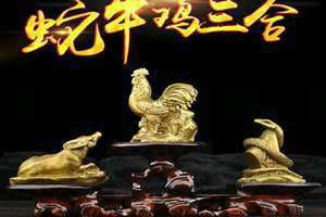 蛇牛属相婚姻相配吗 蛇牛鸡为什么叫三合
