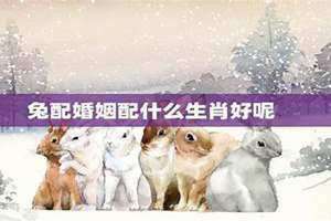 兔的婚姻最佳配偶是什么属相(兔的婚姻最佳配偶)