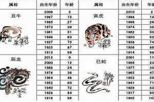 马年今年多少岁2024(马年今年多少岁)