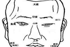 面相识人图解大全(面相识人)