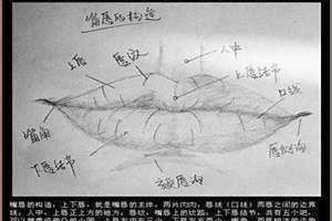 嘴一个怎么回复 嘴一个是哪里的方言