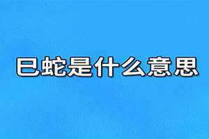 午马是什么意思 申猴与巳蛇是什么意思