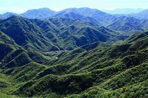 靠山背景图片 靠山背功法