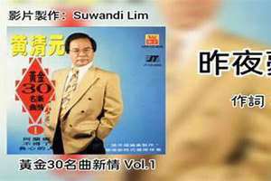 昨夜梦见你歌词 昨夜梦见你的说说