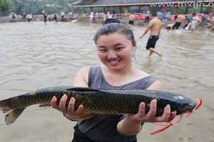 梦见抓大鱼是什么预兆 女性 梦见抓大鱼是什么预兆男性