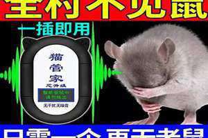 赶老鼠的超声波mp3 赶老鼠的超声波声音播放