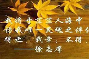 来之不易的爱情什么意思(来之不易的爱情)