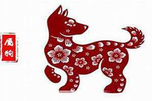 属狗的人今年运势怎么样 属狗的人今年运势如何2023