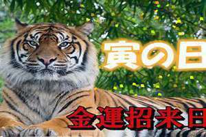 寅日为什么不能祭祀 寅日是哪一天2024