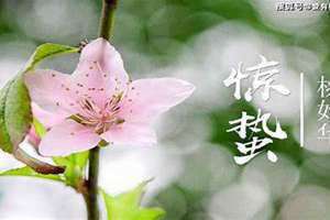 惊蛰的意思和含义(惊蛰的意思)