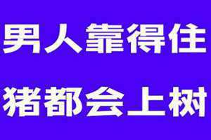 男人靠得住母猪能上树是什么意思 男人靠得住,猪都能上树表情包