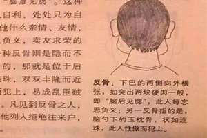 反骨是什么意思网络语 说一个人反骨是什么意思