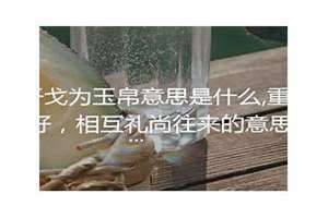 重修于好是什么意思(重修于好)